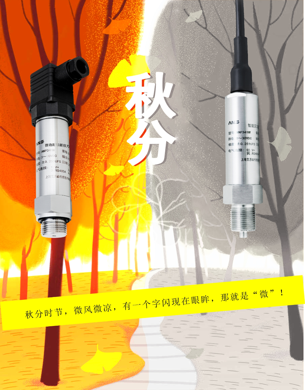 ANP341W-2.jpg